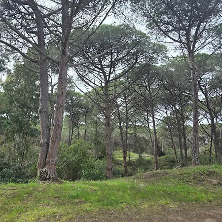 Mare E Pineta Arboriamar Platamona Apartmán
